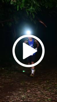 BIB:  <button type="button" onclick="openModal(27808297)" class="btn btn-primary btn-sm float-right" data-toggle="modal" data-target=".modal-high-quality">
                <i class="fa fa-download"></i> Download
                </button>